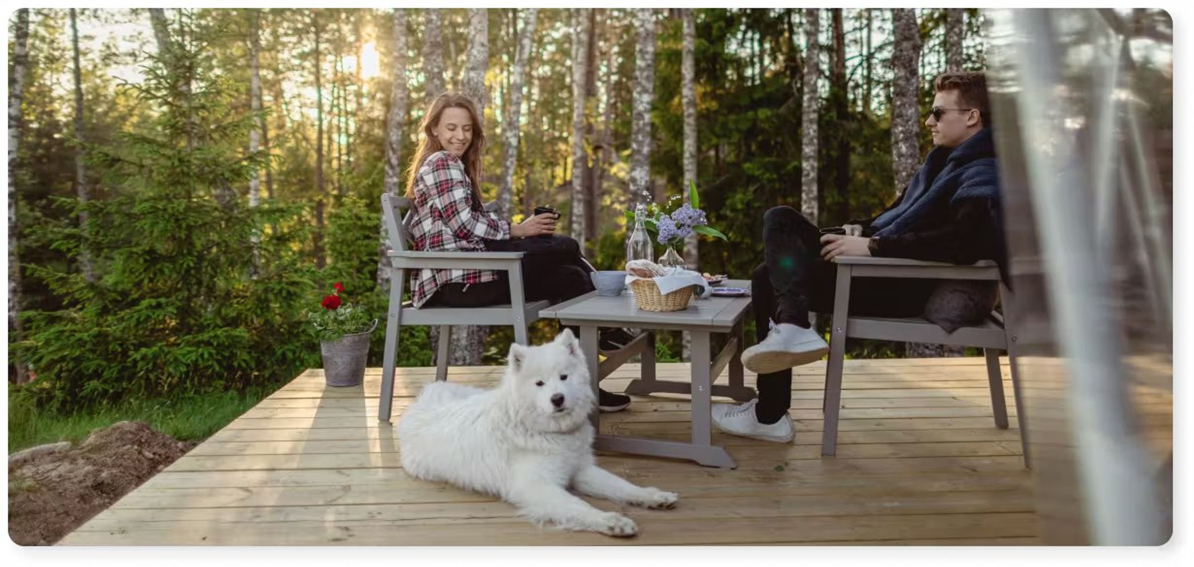 New Year with your dog, far from the city and fireworks