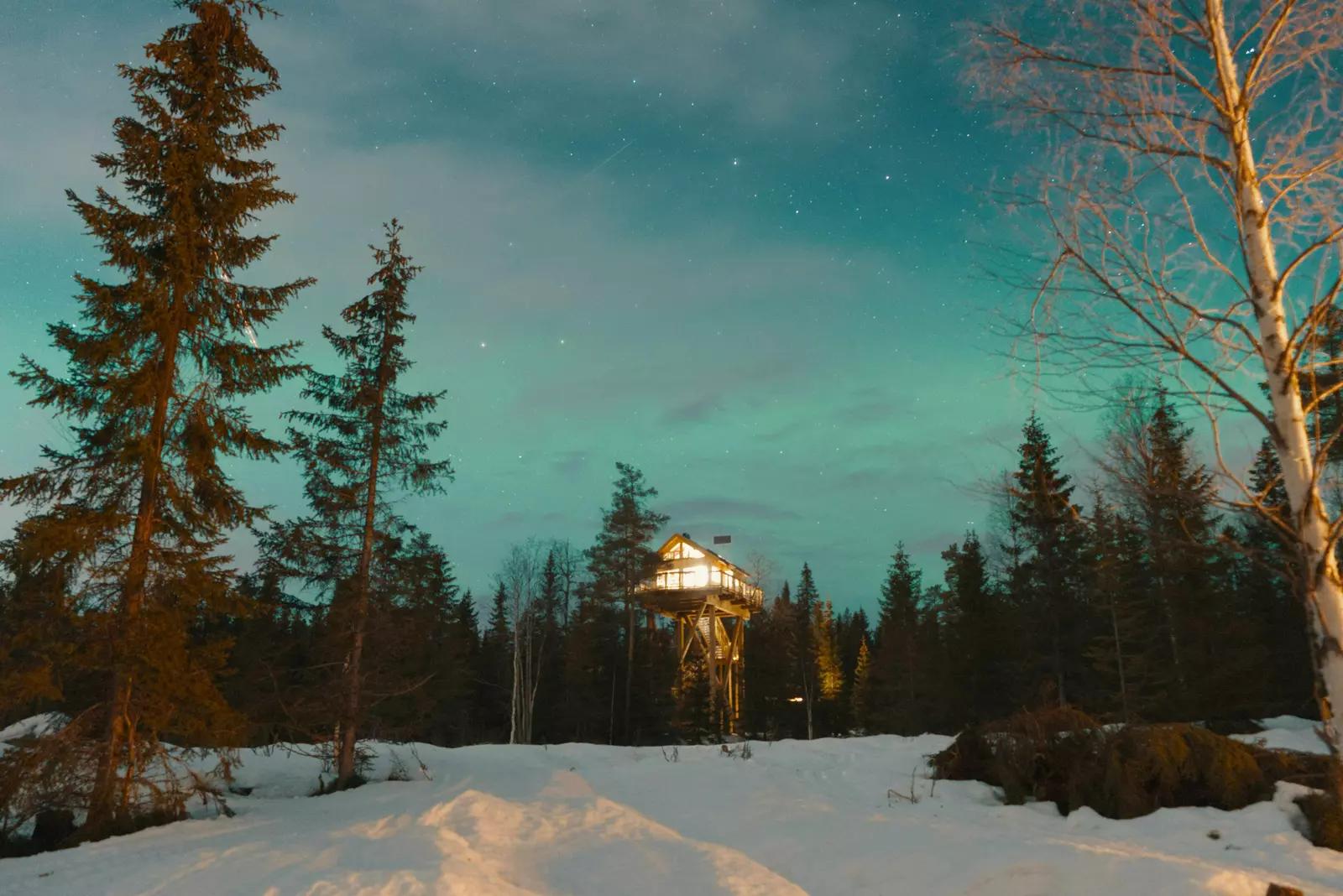 Baumhaus unter dem Nordlicht in Norwegen