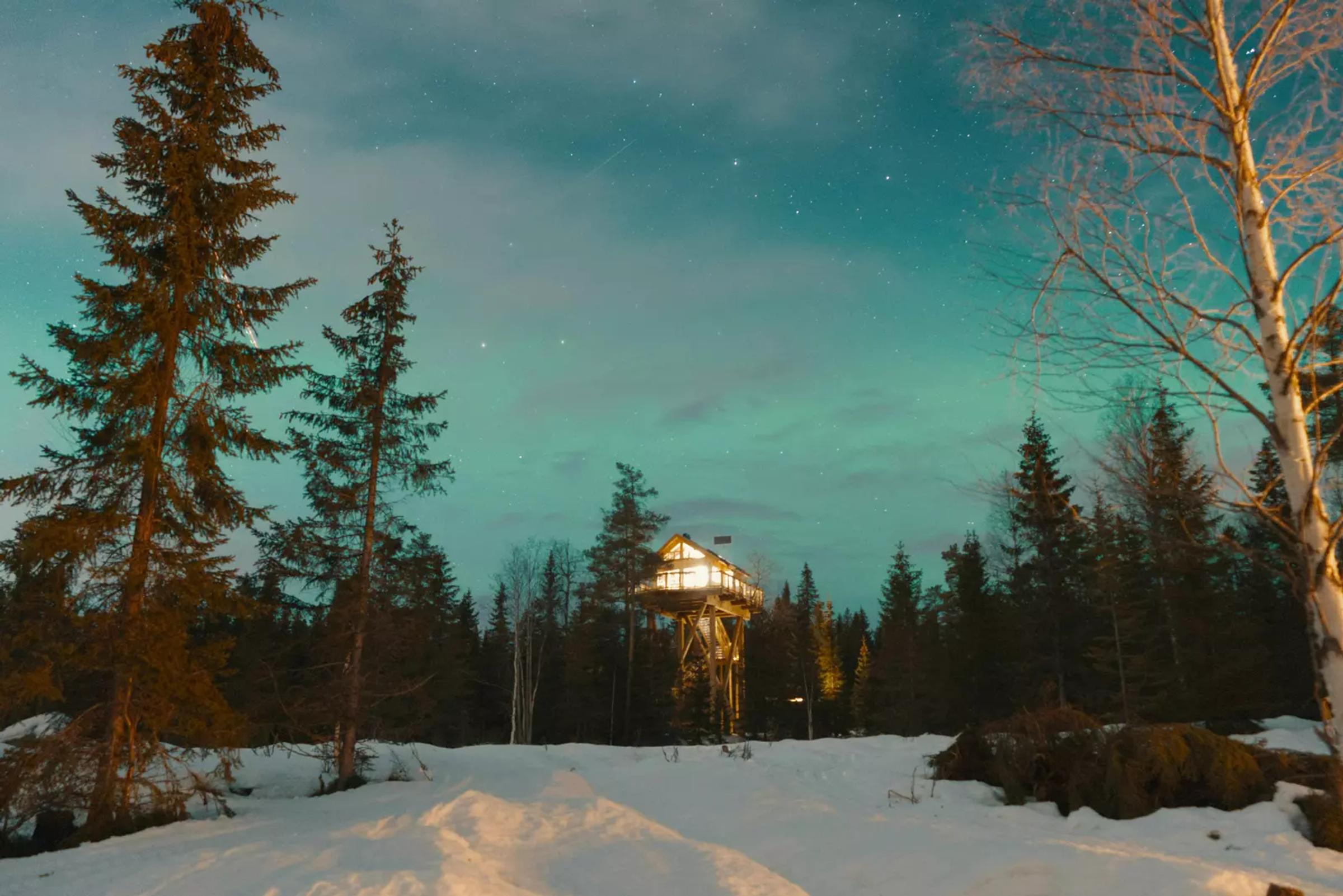 Baumhäuser in Norwegen