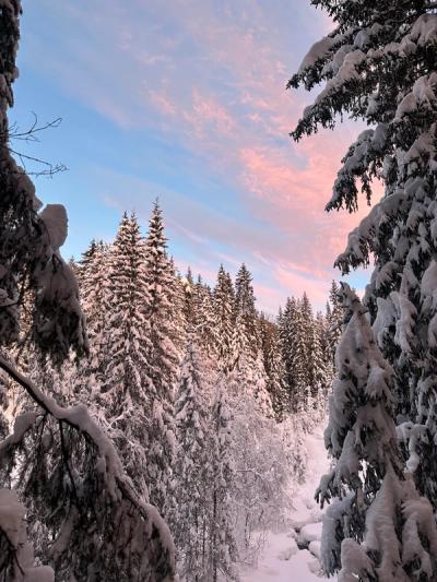 Eventyr til tretopphyttene i Lårdal