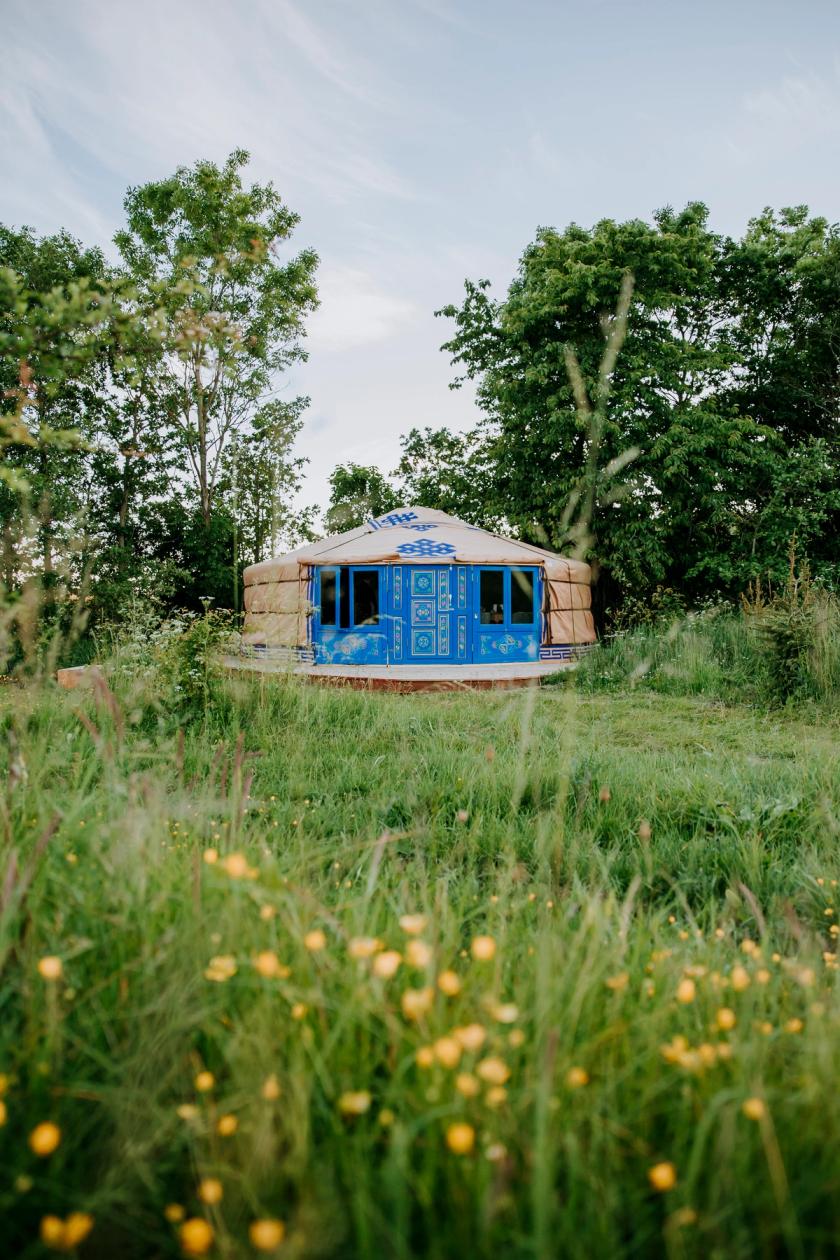 Blå jurta från Mongoliet i Mols Bjerge, Danmark | Campanyon