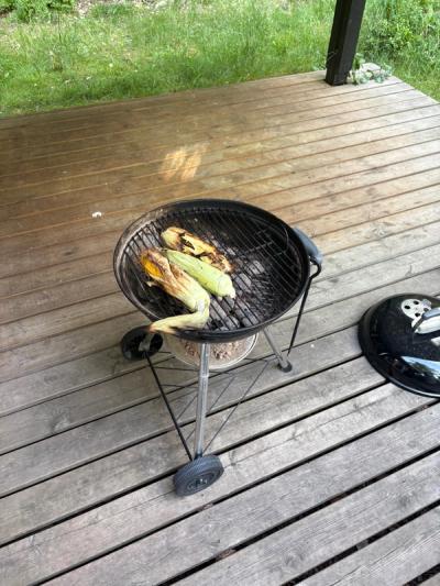 Grill på terrassen