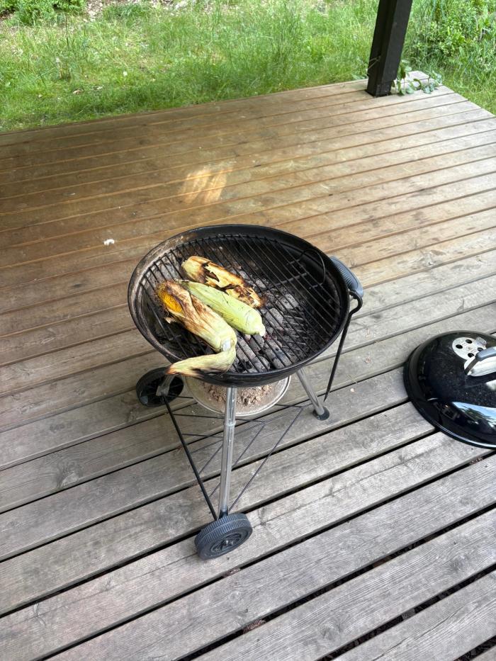 Grill på terrassen