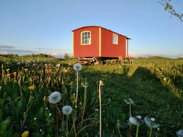 Lille rødt mikrohus på en mark i Skåne