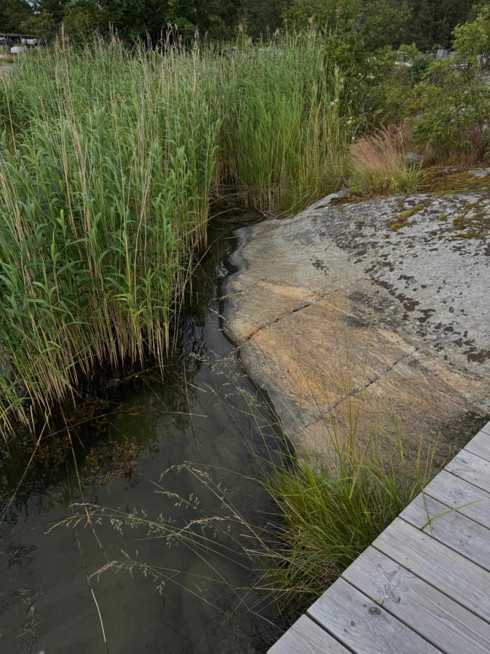 Vacker natur