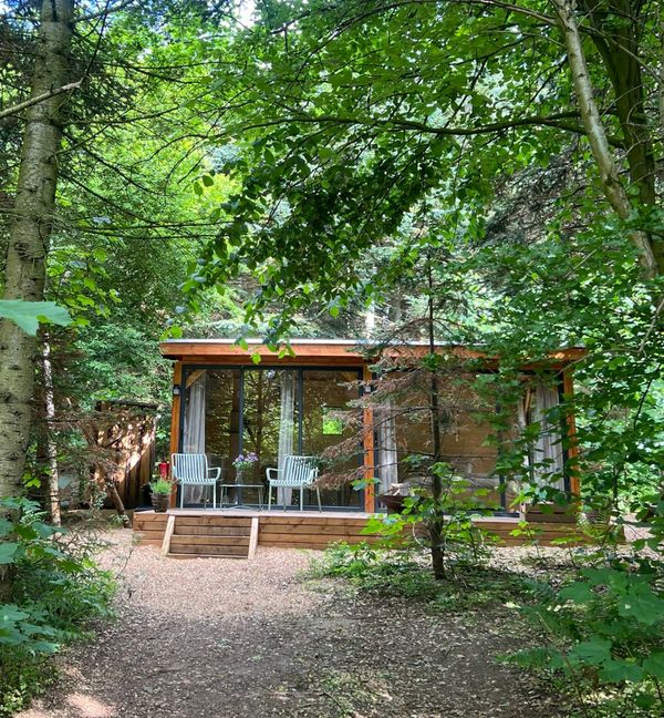 The cabin in the forest