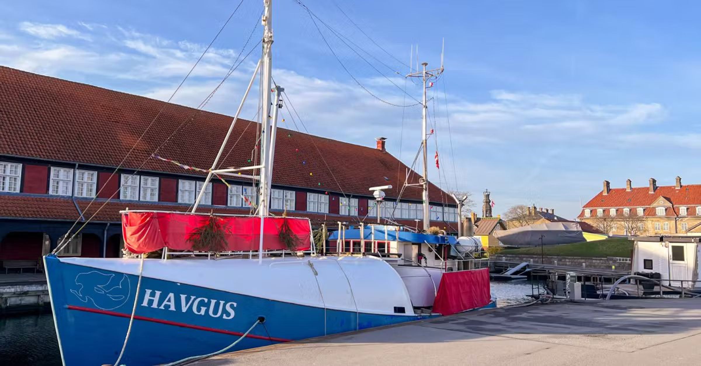 🟠 Saunagus hos Havgus