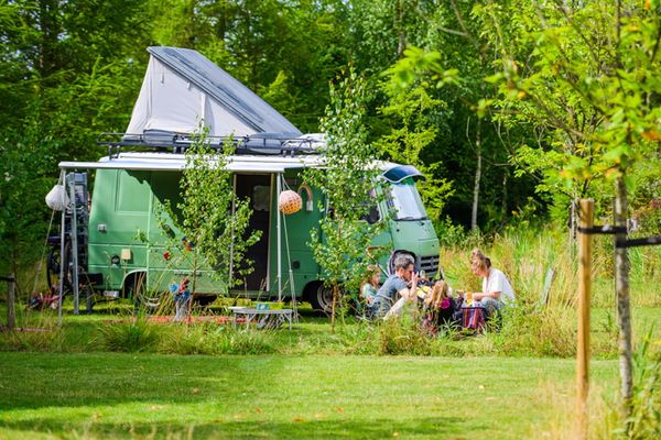 A green campsite in the Netherlands