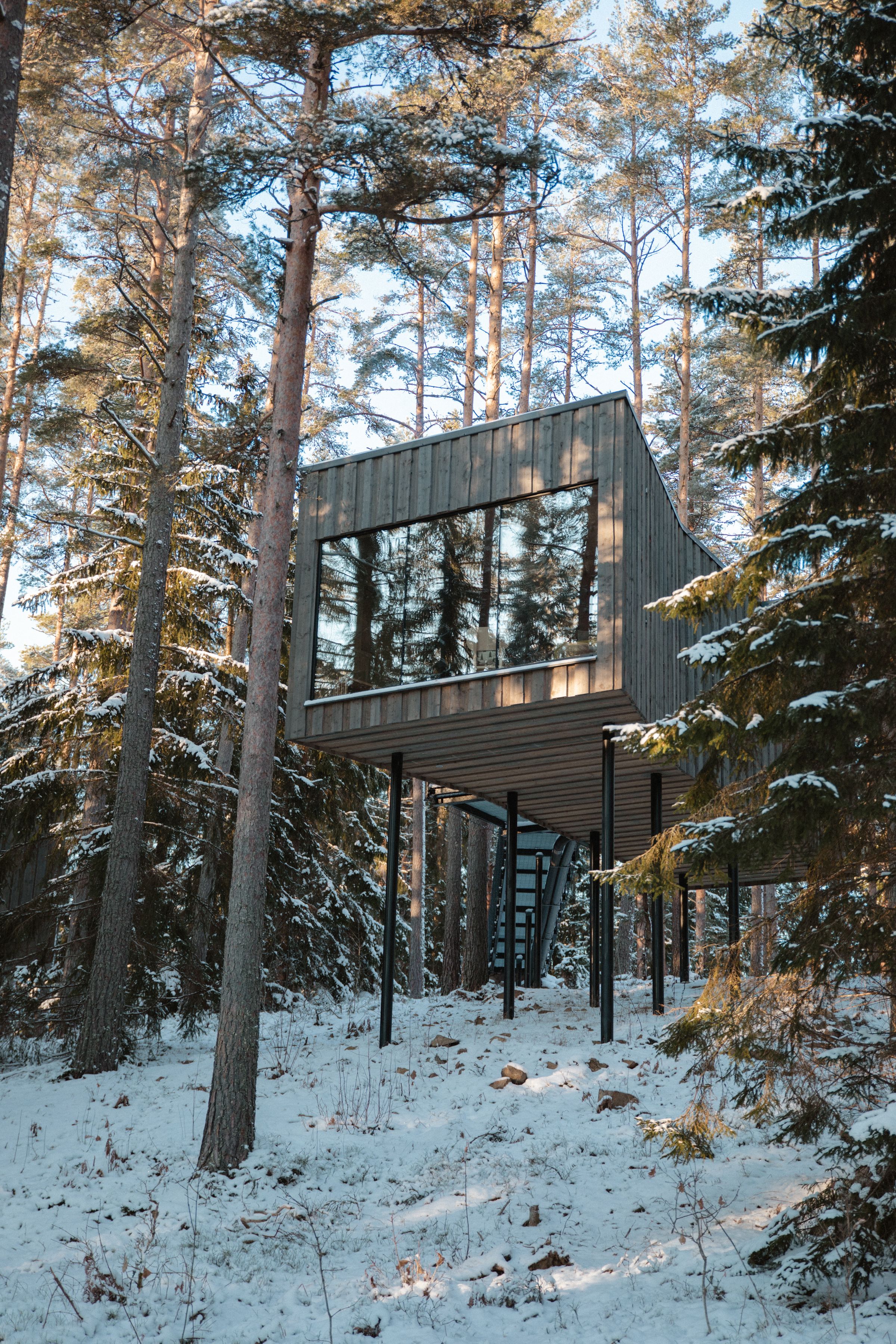 Skovsuite hos Trakt Forest Hotel, Småland (Sverige)