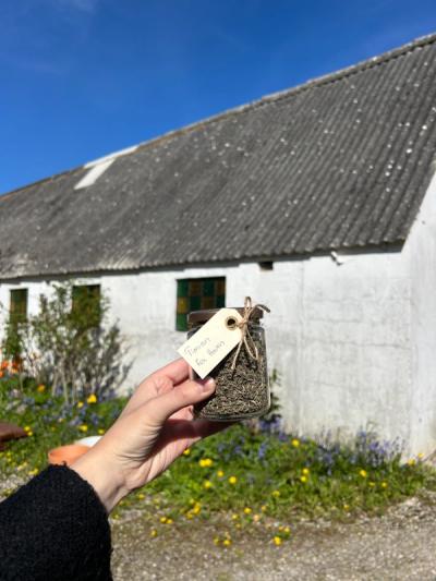 Kryddväxter från en gårdsbutik