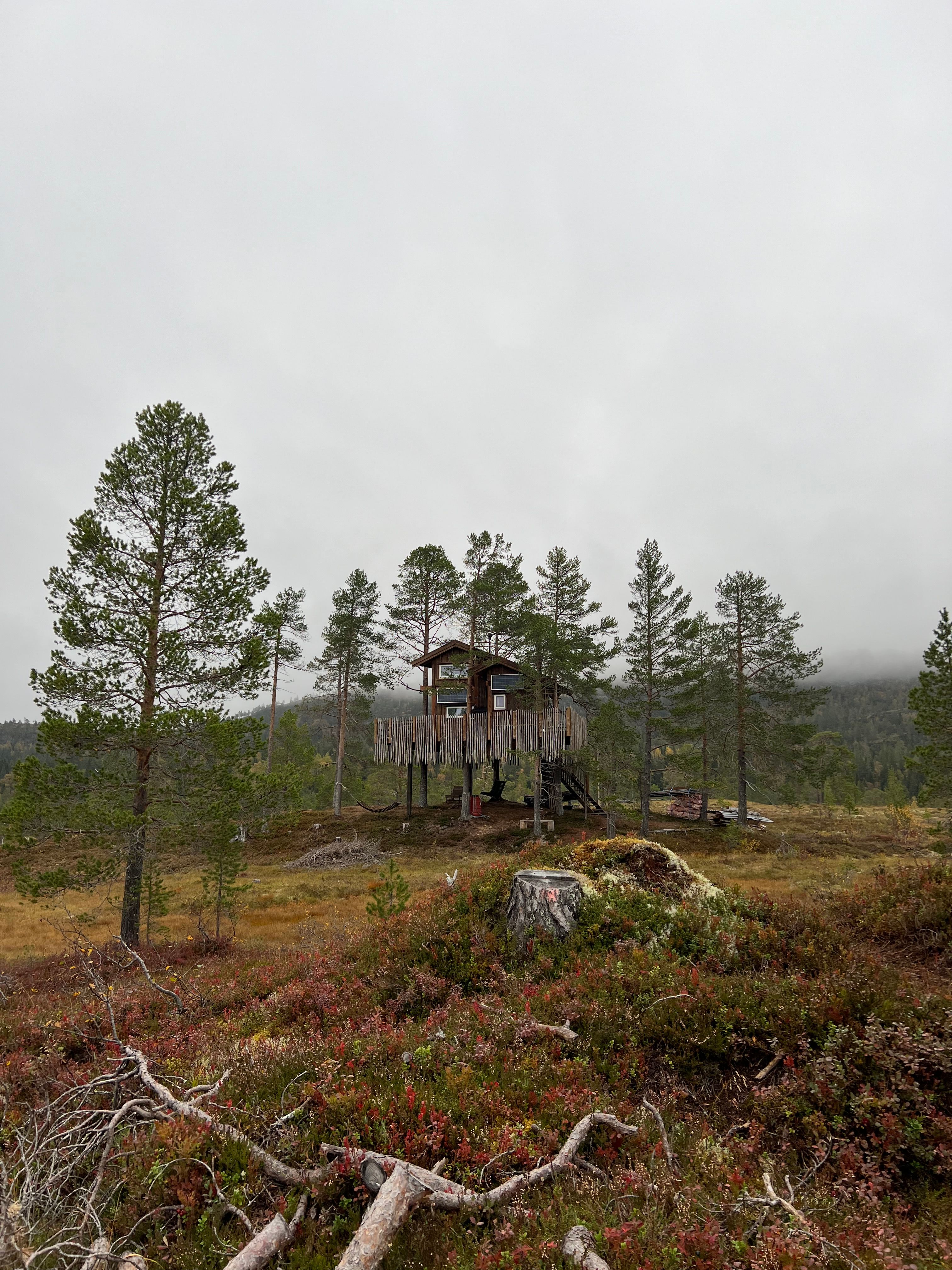 Rebeccas trætop-eventyr i Rindal