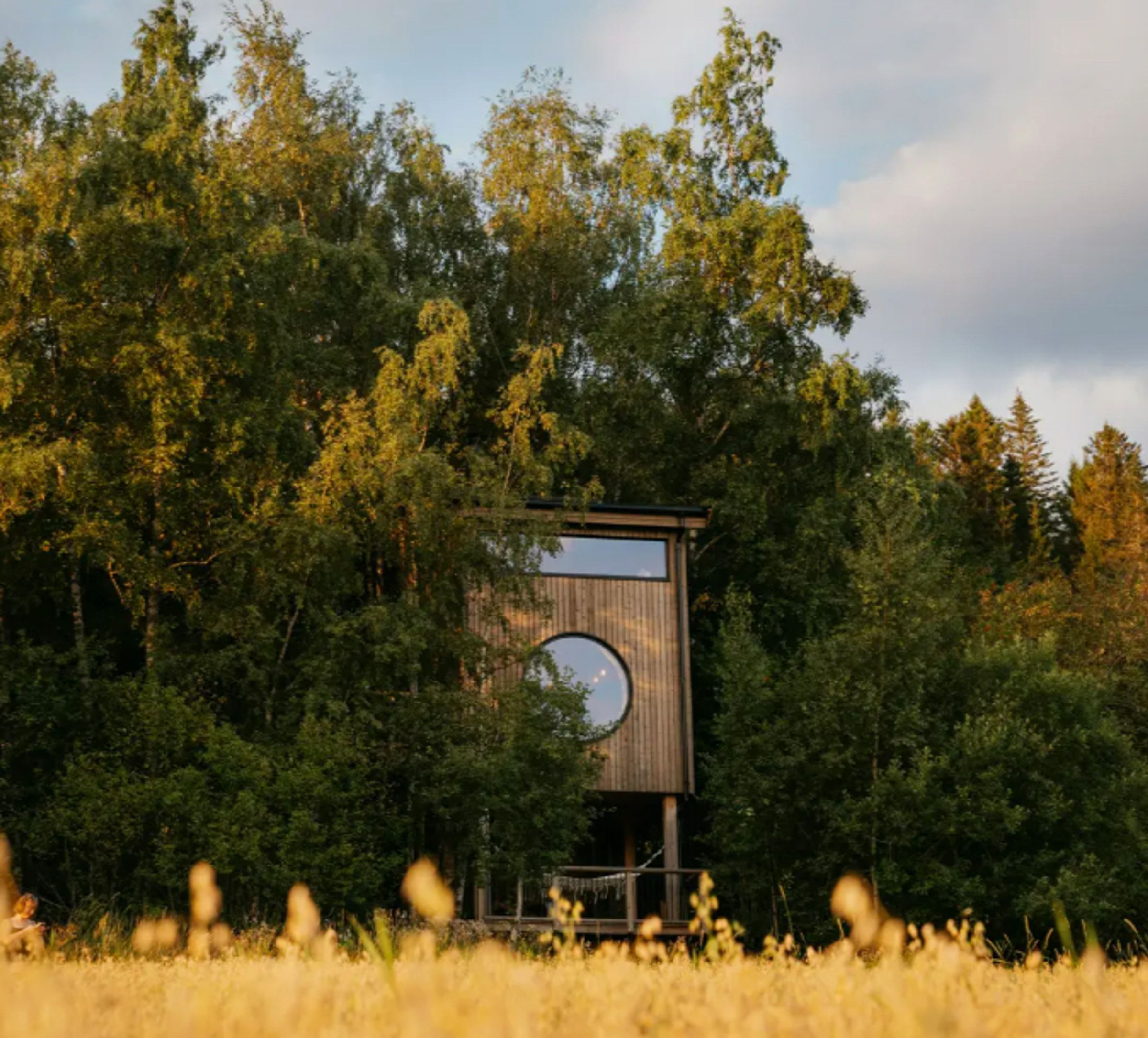 Fuglekassehytte i Lorvika. Sparbu, Trøndelag