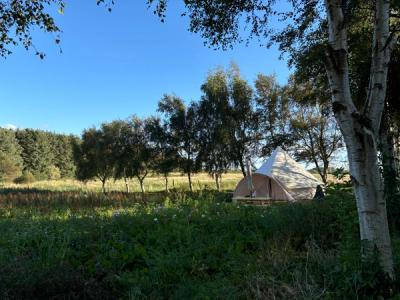 Wellness-glamping i Tylstrup