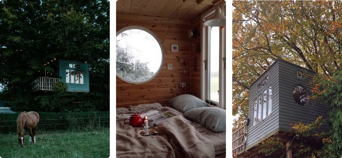Unik overnatting i trætophytte