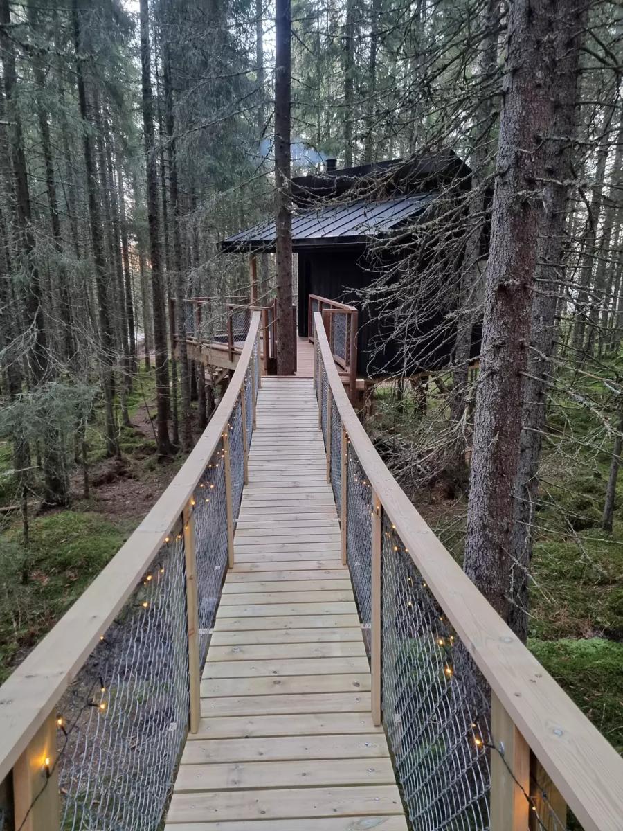 Et broen inn til tretopphytta i Trollskogen
