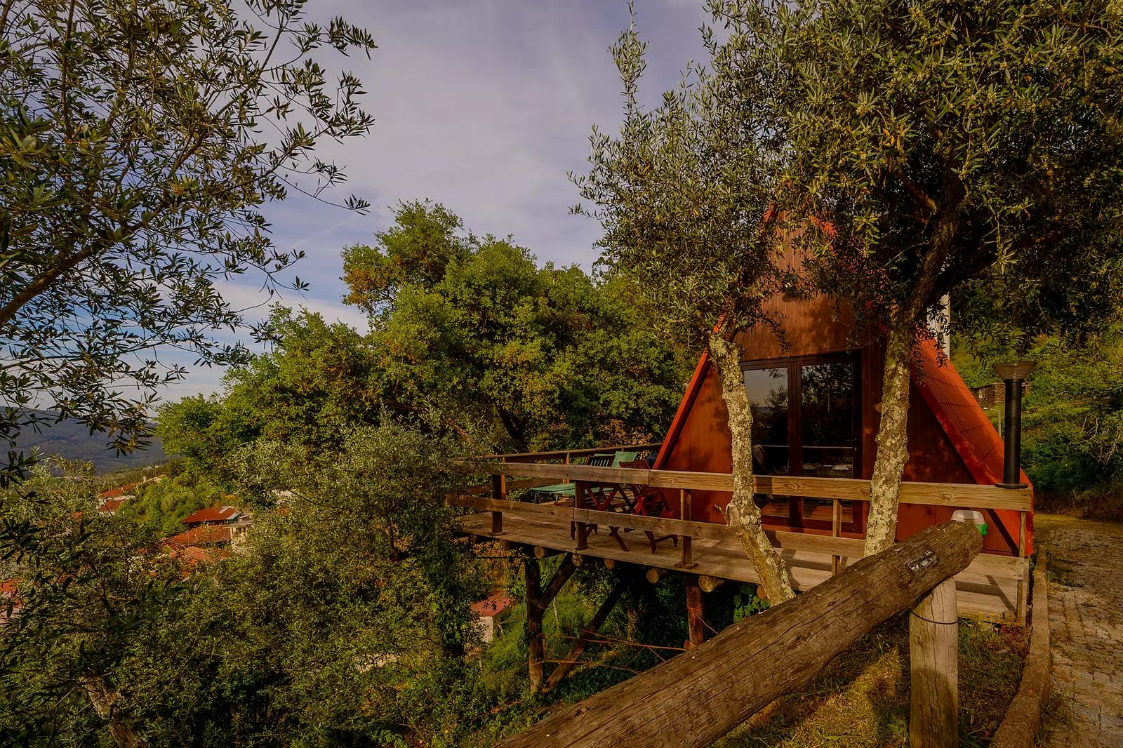 Casas na árvore em Portugal: onde dormir entre as copas