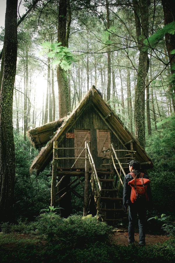 En camper på vei inn i en tretopphytte som er bygd inn i naturen