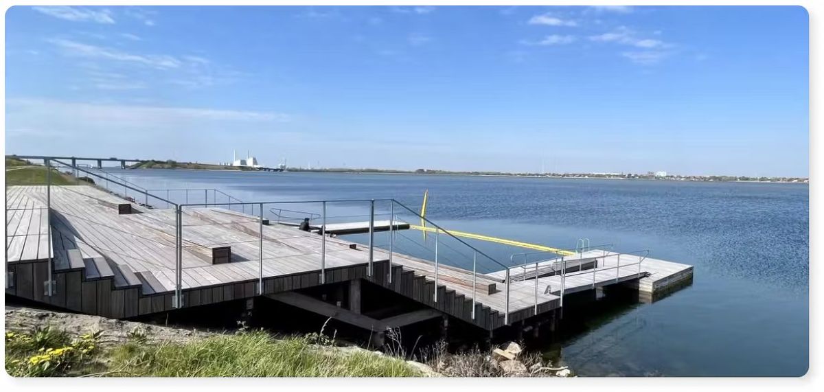 Bonfire Stories i Sauna Vinterbadning I Kobenhavn - naturoplevelse