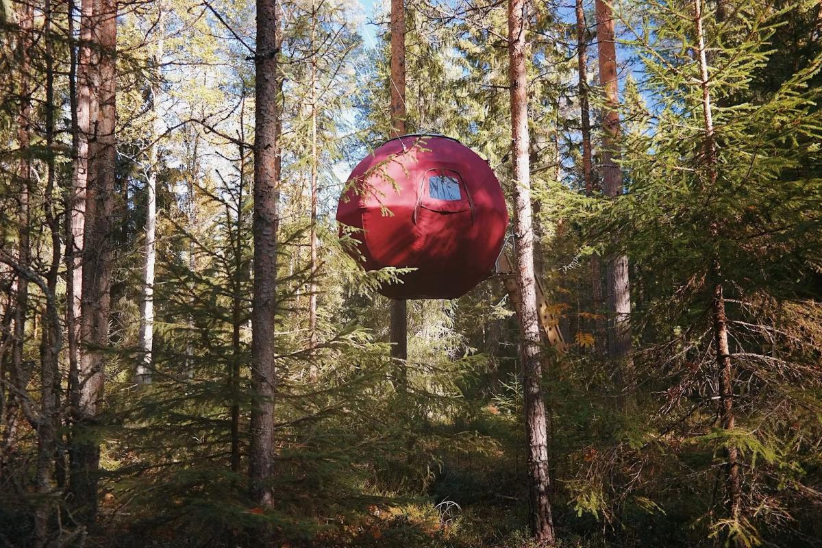 Bonfire Stories in Resetips Unika Upplevelser Och Aktiviteter I Sverige - nature experience