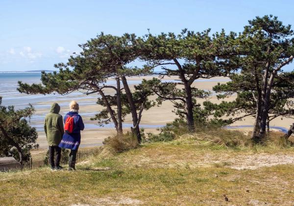 Two hikers looking over the island of Terschelling