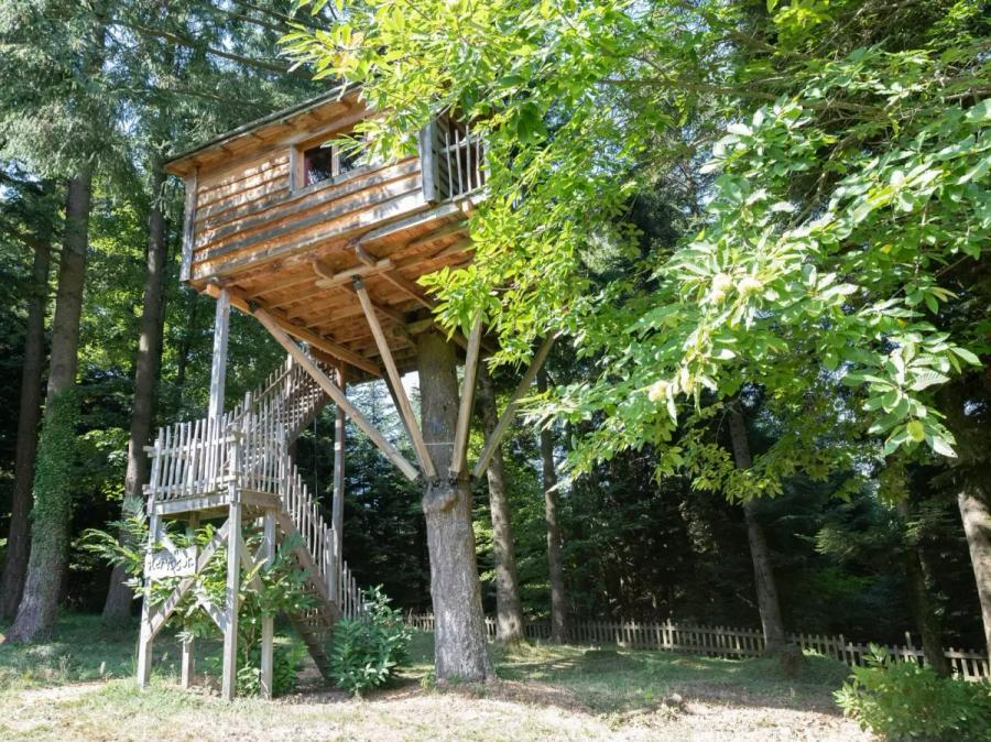 Treehouse - Glamping build up in a tree
