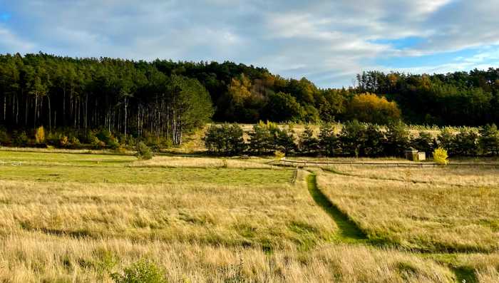 Vandringar i Mols Bjerge