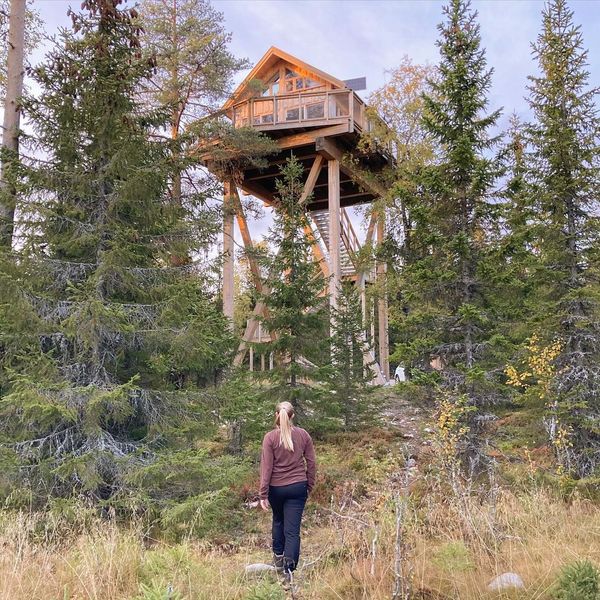 Norways tallest treehouse is a treehouses on stilts