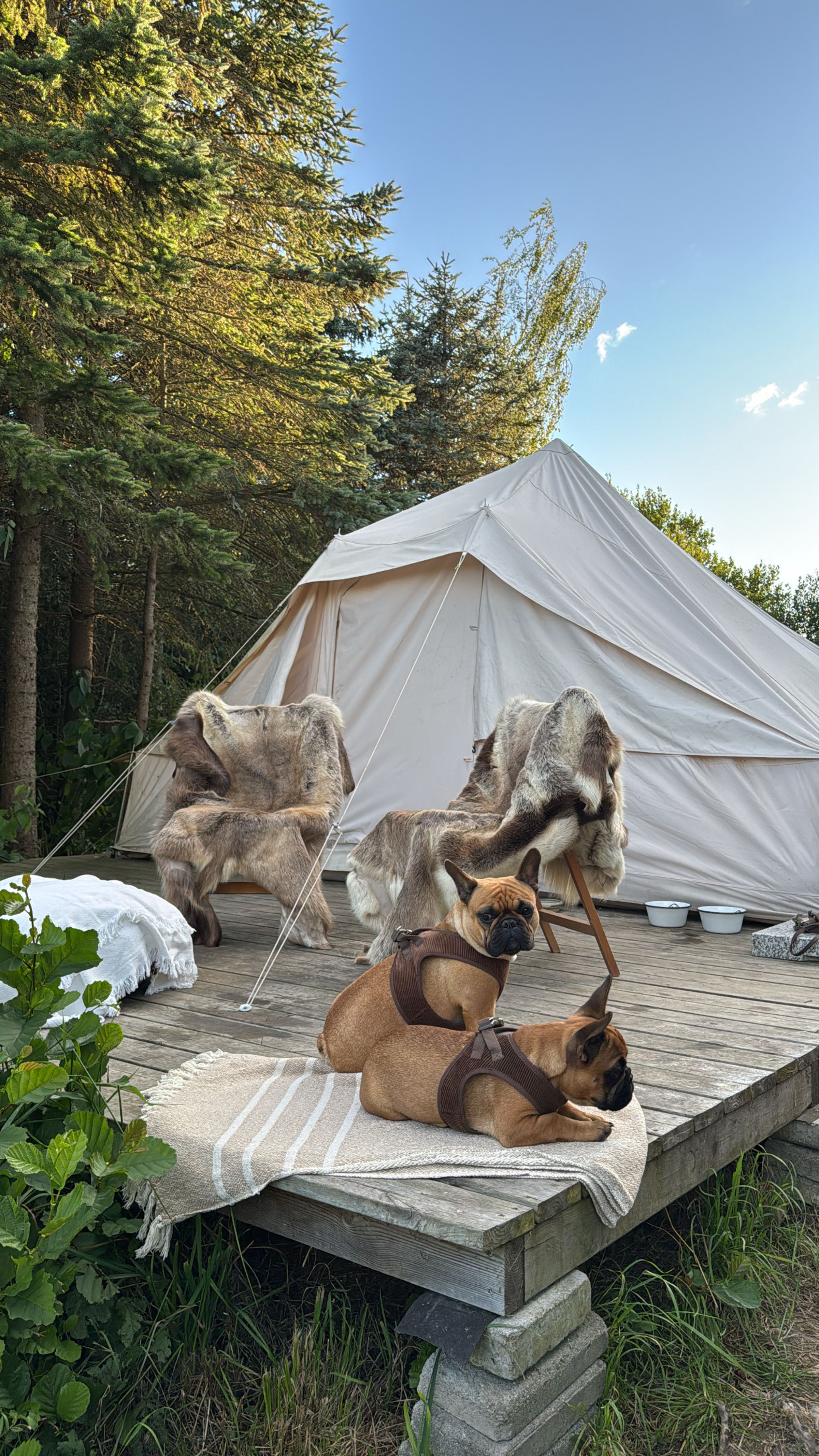 Glamping