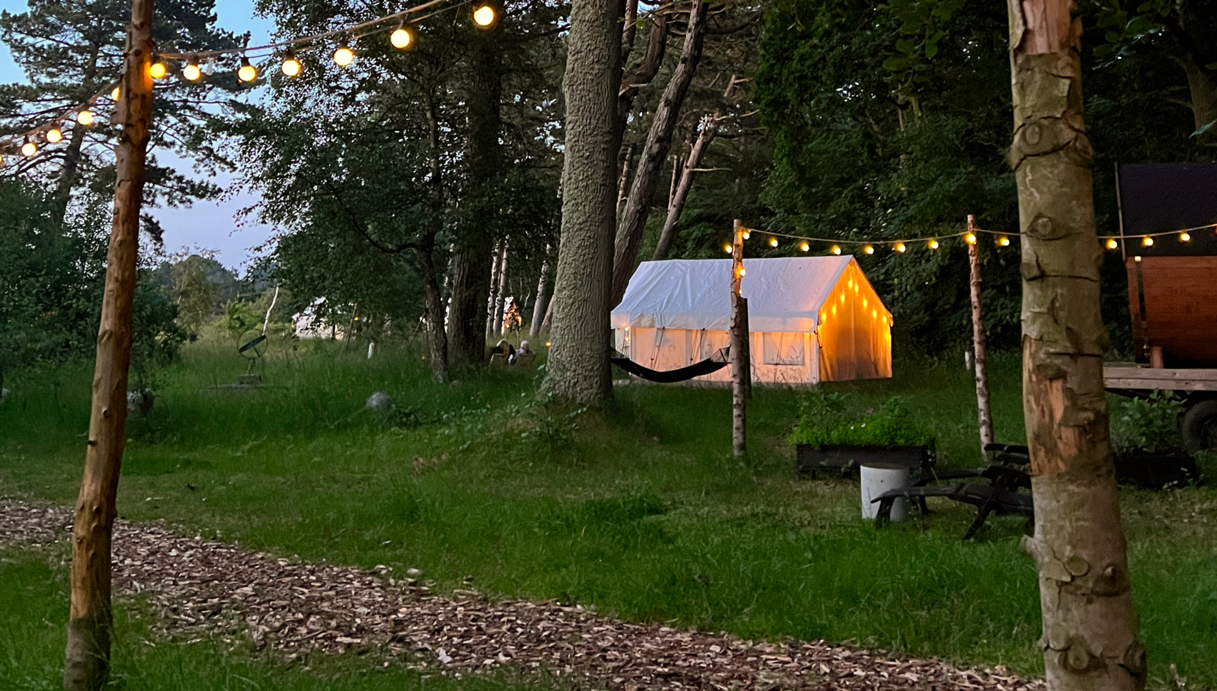 Romantisk glampingtelt i skoven oplyst af lyskæde med hængekøje og bålplads i skumringen