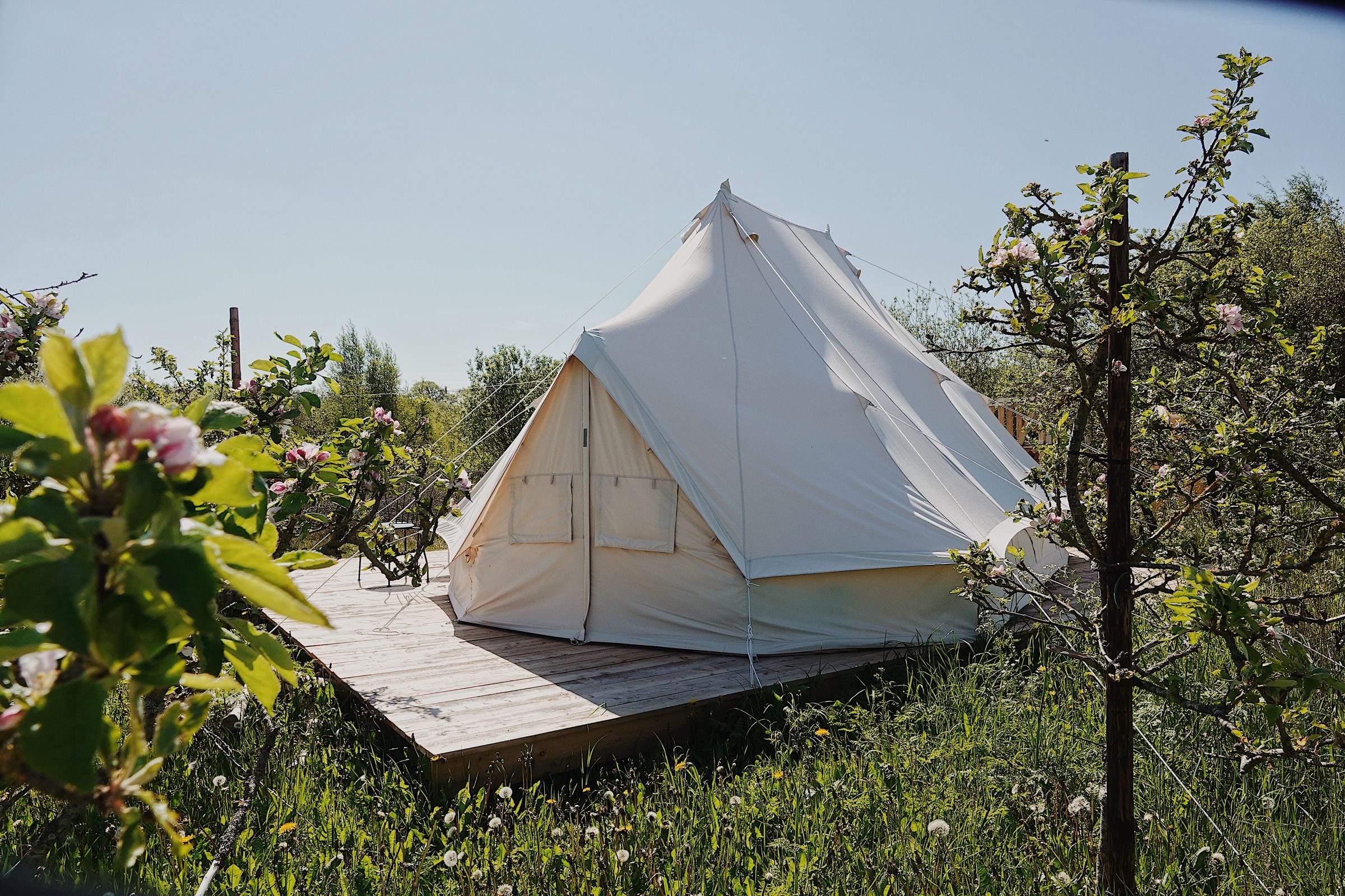 🟠 Glamping på Fyn