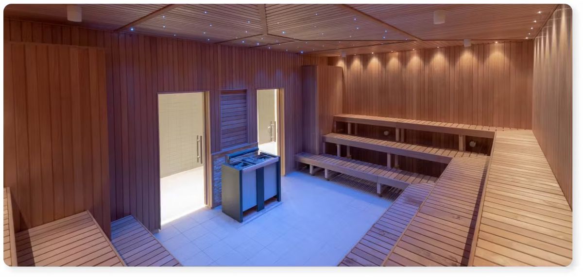 Saunagus Gigantium Aalborg