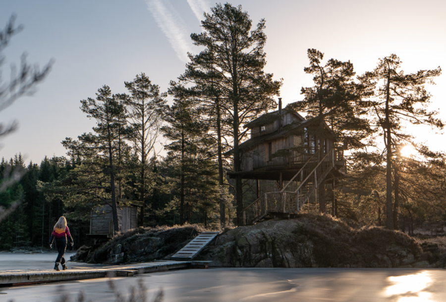 The Treetop Island