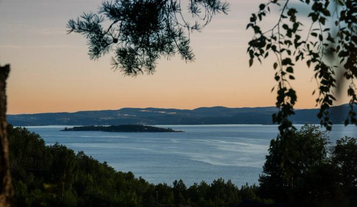 Morgendukkert i Oslofjorden