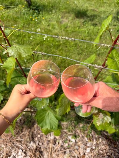 Wine, wine and wine