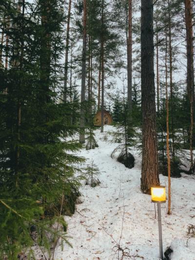 Midt i skoven