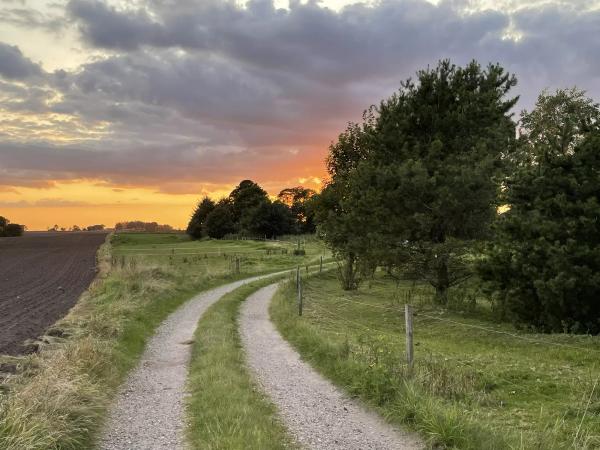 Road to idyllic farm camping in Denmark