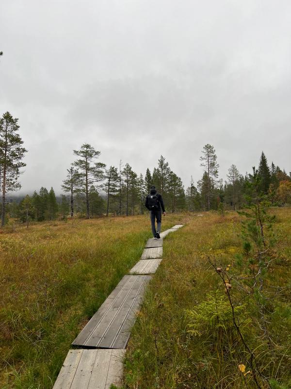 Vandretur gennem vildmarken hos Romundstad Treetop Panorama