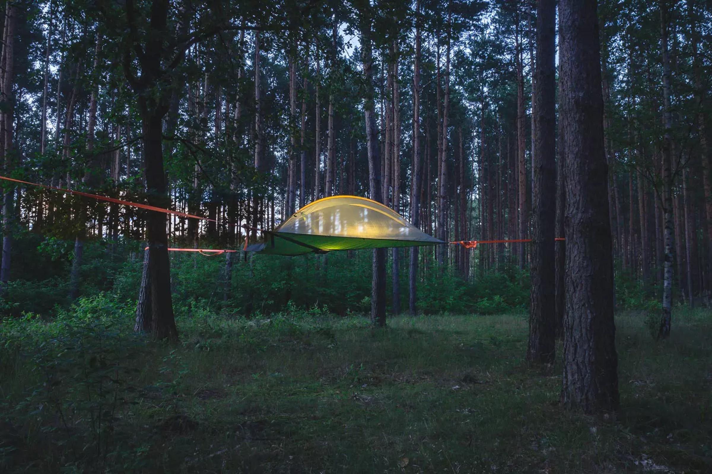 Hængetelt i skoven ved Borkheide