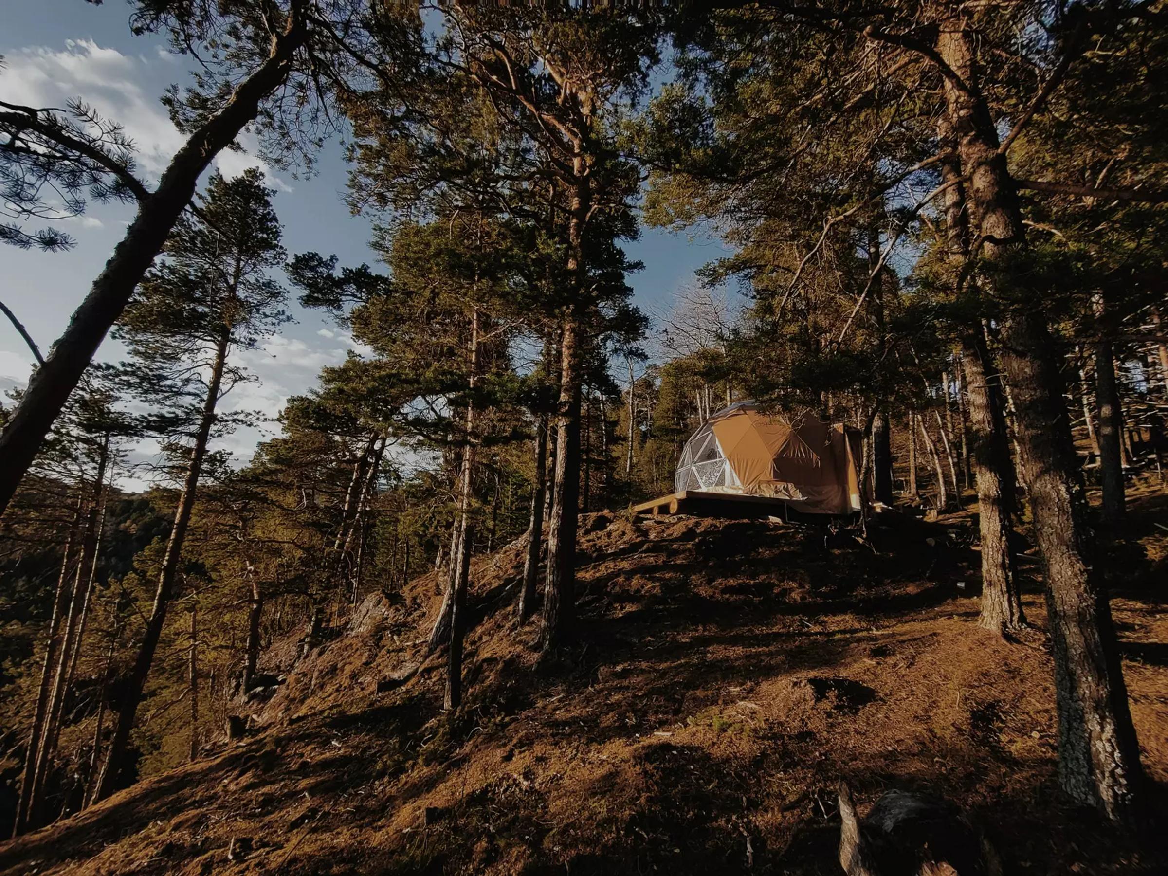 🟠 Glamping i Trøndelag