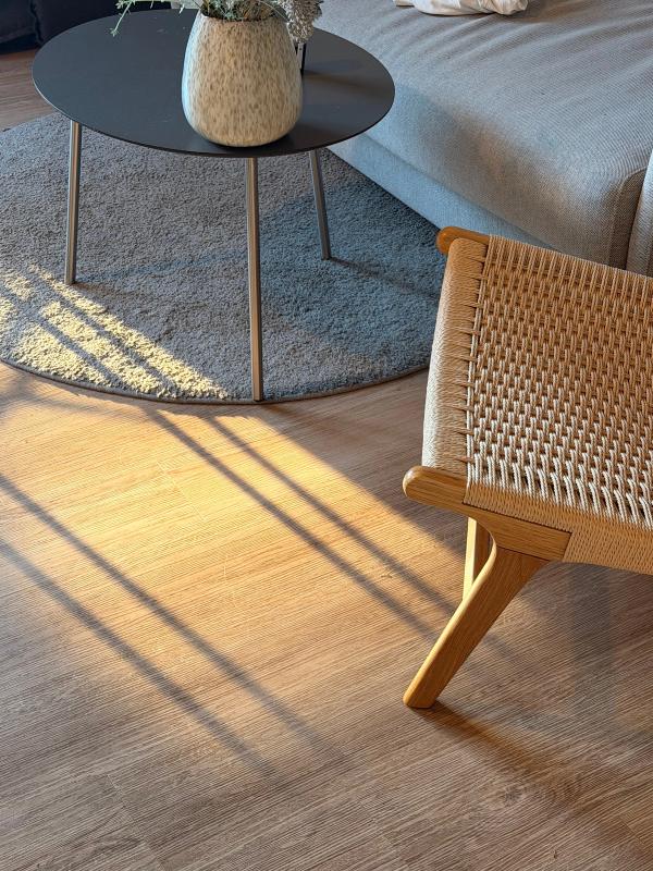 Cozy interior