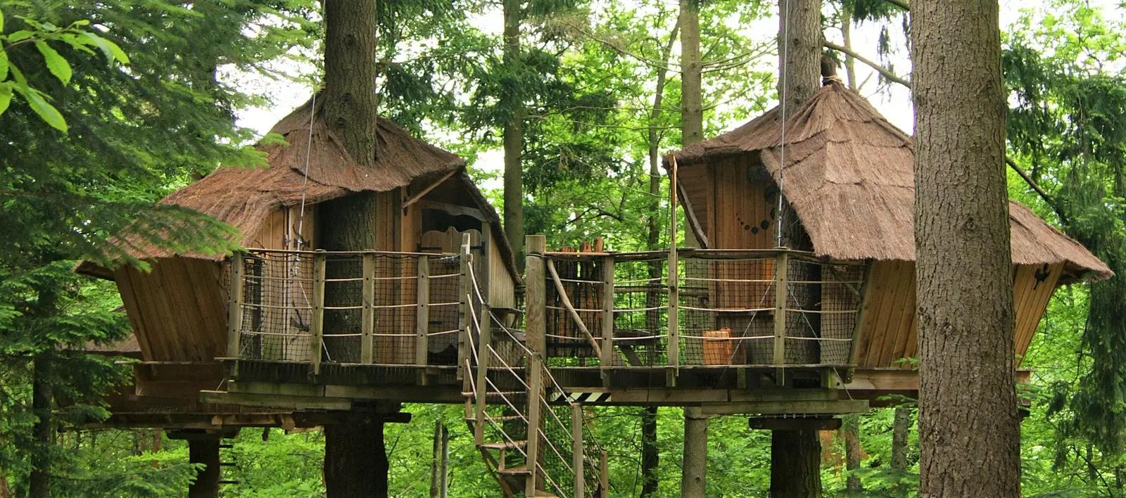 Two authentic treehouses