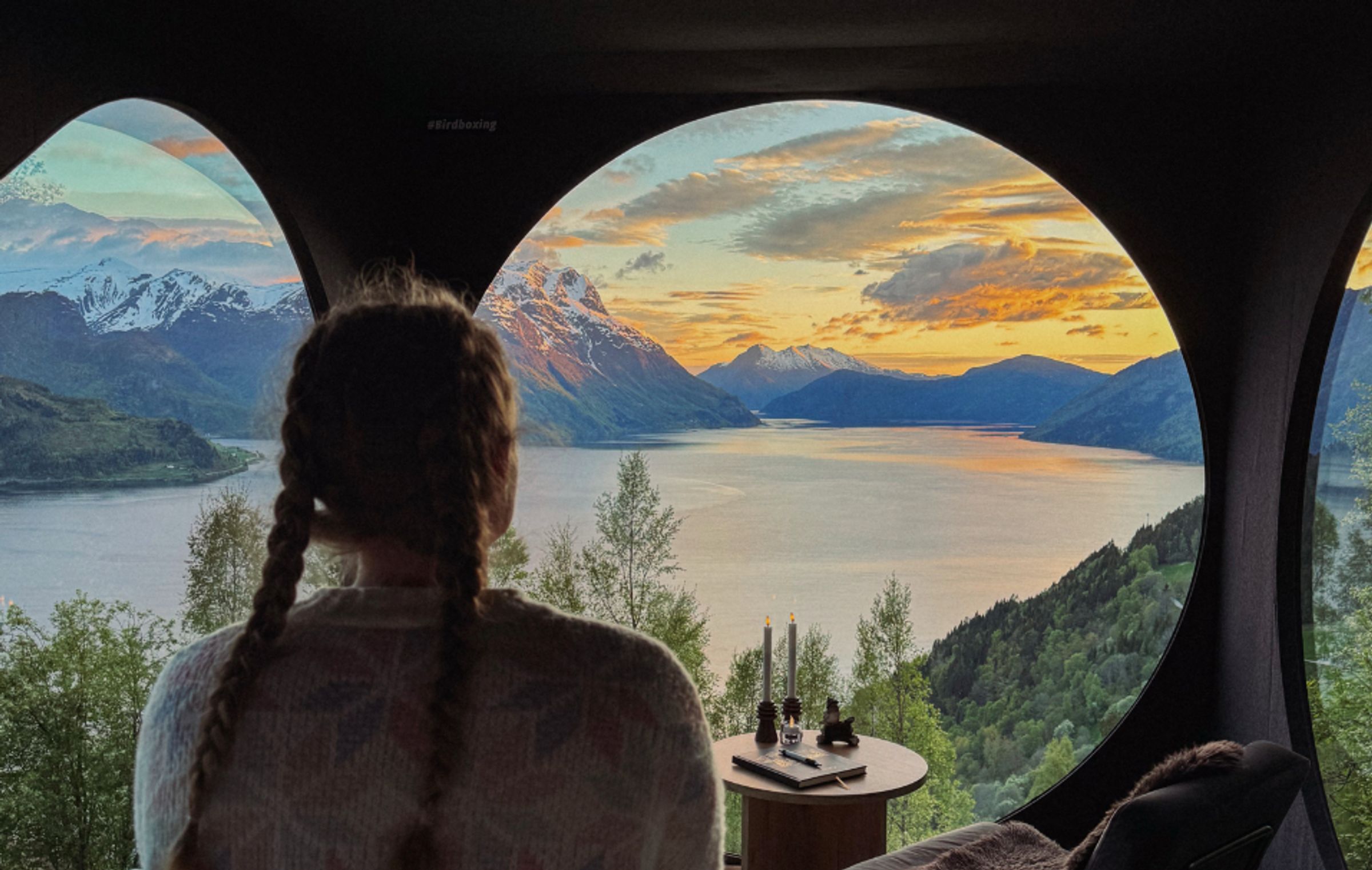 Birdbox Norway