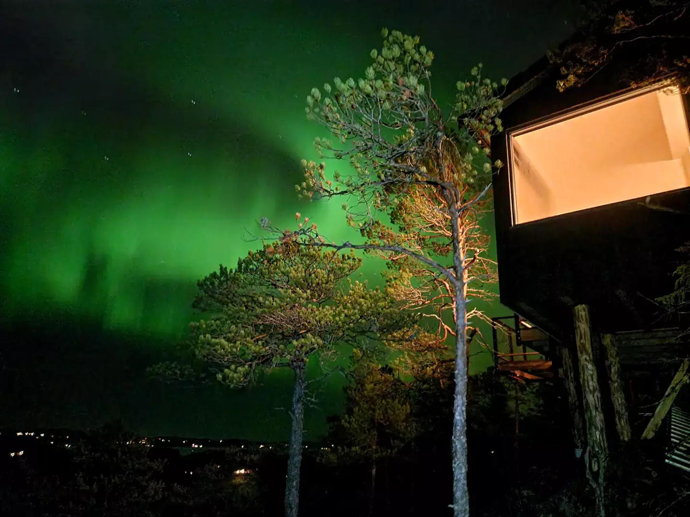 Strong green northern lights behind a treehouse in Ekne, Norway