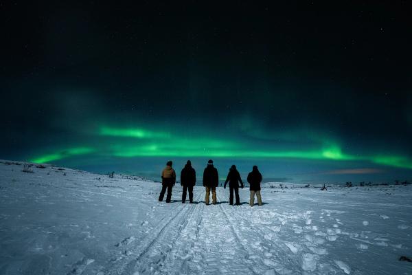Five people in full winter gear, in a winter field, looking up at northern lights