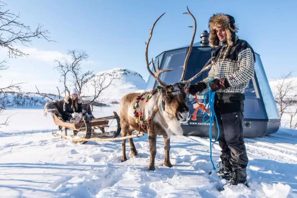 Vinterlandskap og reinsdyr foran en glassiglo i Nord-Sverige
