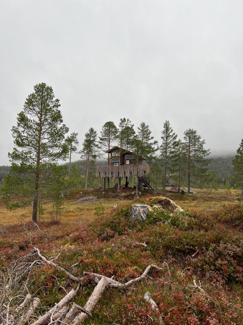 Koselig høsteventyr i en tretopphytte i Rindal, Norge | Campanyon