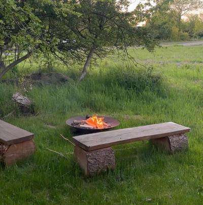 Bonfire in the garden