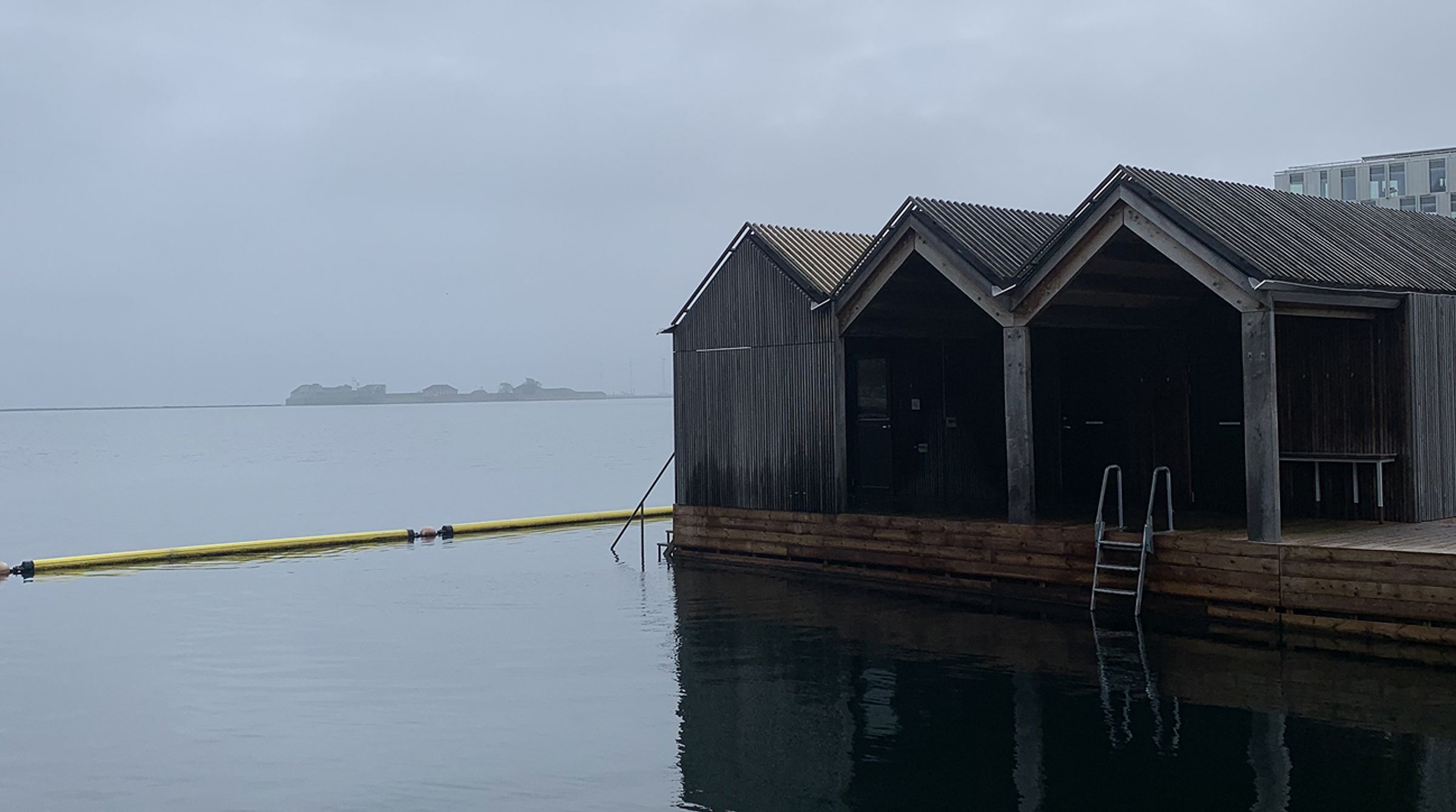 Vinterbadning i Köpenhamn