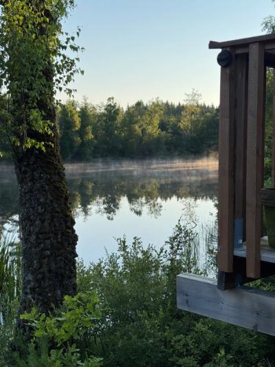 Spegelblank sjö
