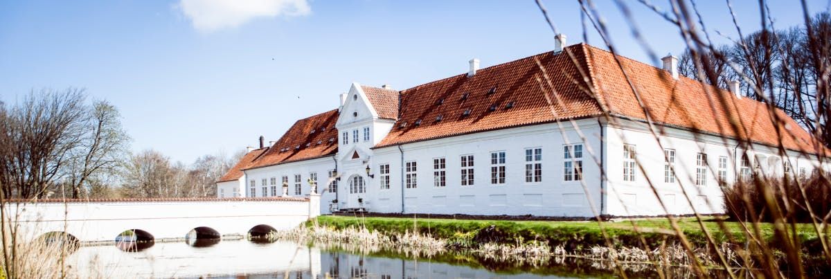 Bonfire Stories i Rejsetips Slotsophold I Danmark - naturoplevelse